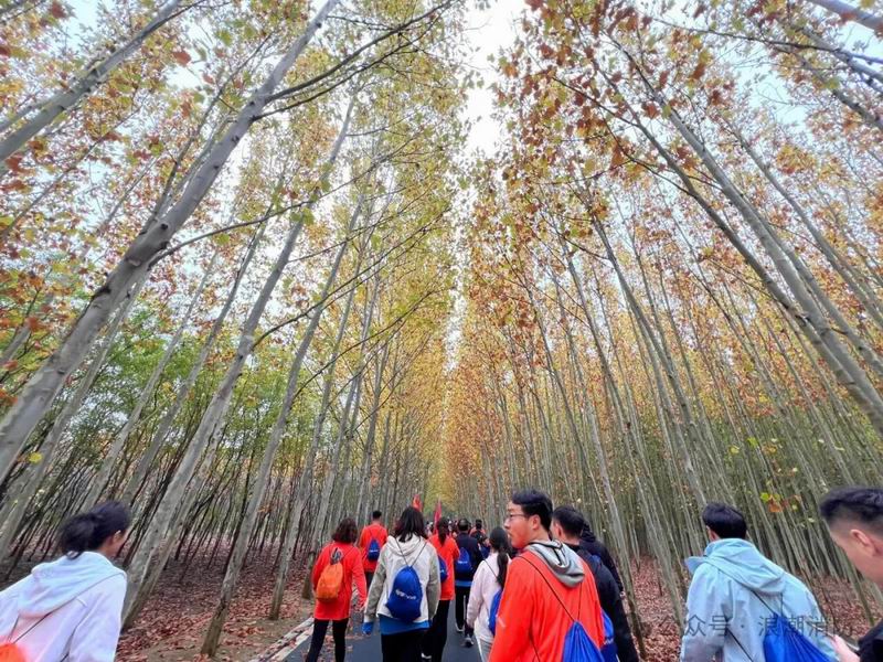 640_wx_fmt=jpeg&from=appmsg&watermark=1&tp=webp&wxfrom=5&wx_lazy=1 (10).jpg